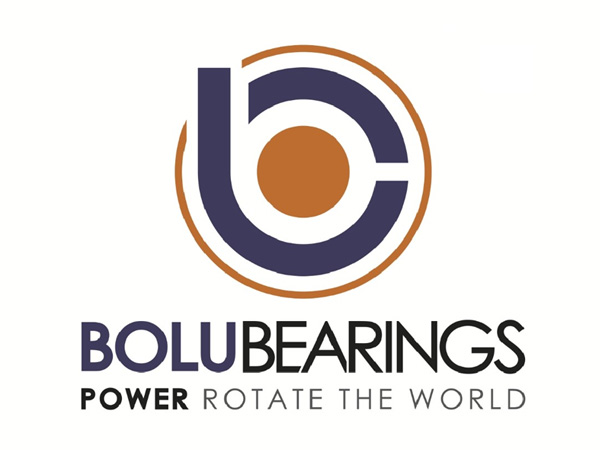 BOLU 軸承