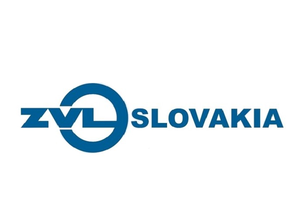 ZVL Bearings