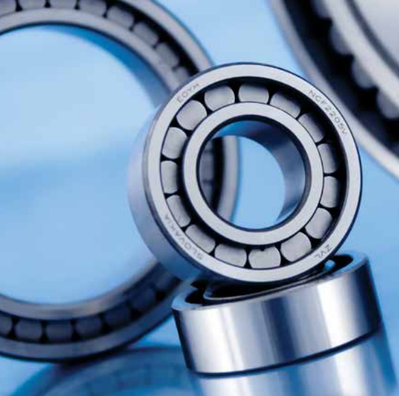 Full-Roller Roller Bearings